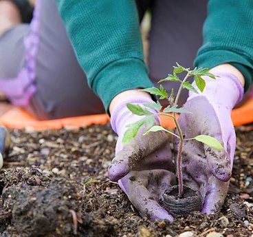 Emma's Gardening Services - Our Background